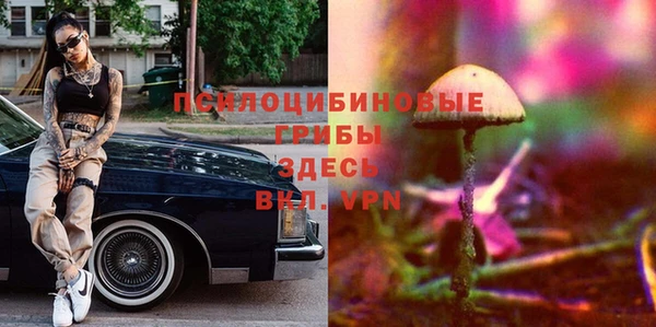 а пвп мука Дмитров