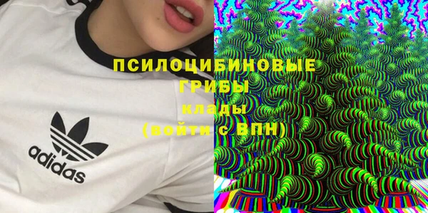 круглые Дмитровск